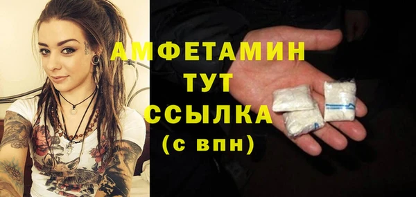 дмт Гусев