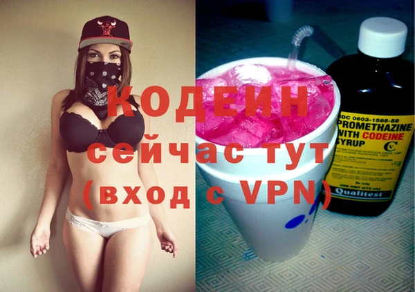 дмт Гусев