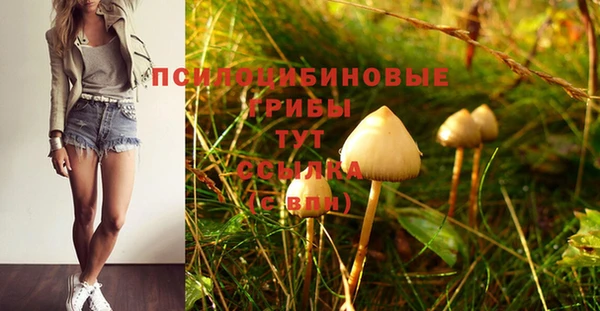 дмт Гусев