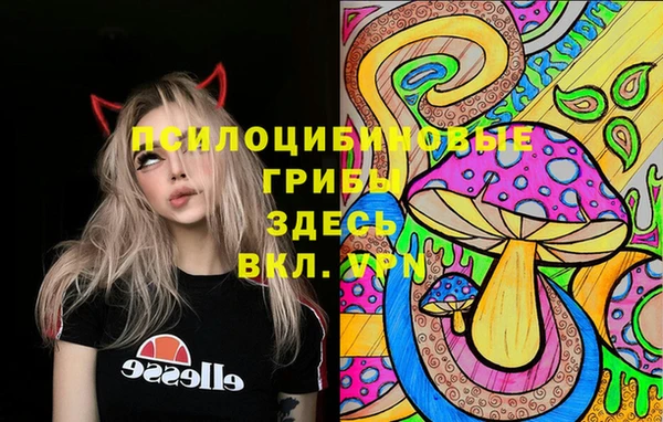 соль ск Гусиноозёрск