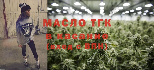 дмт Дмитров