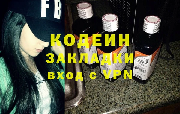 дмт Дмитров