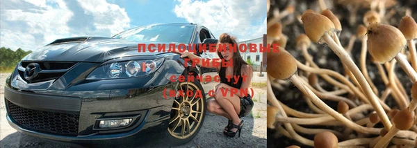 MESCALINE Гусь-Хрустальный
