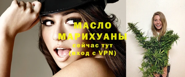 дмт Гусев